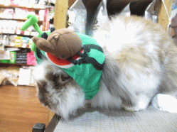 140707 13.gif
