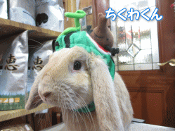140707 16.gif