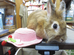 140707 3.gif