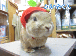 140707 4.gif