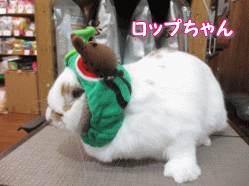 140707 6.gif