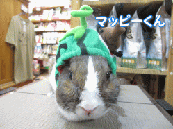 140707a.gif