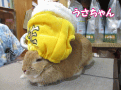 140707e.gif