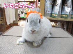 140708a.gif