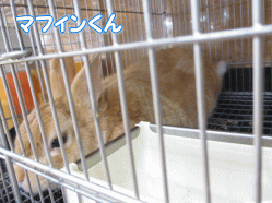 140708c.gif