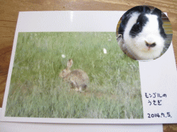 140708f.gif