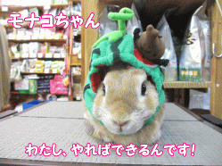 140711a.gif