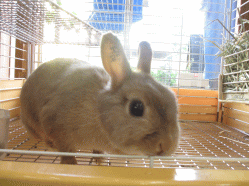 140712e.gif
