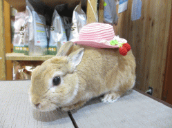 140713d.gif