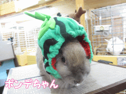 140713g.gif