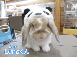 140713k.gif