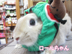 140713m.gif