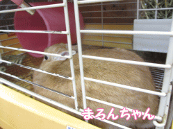 140713o.gif