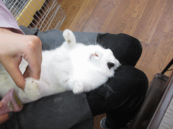 140715g.gif
