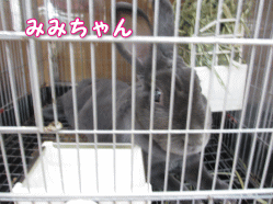 140717e.gif