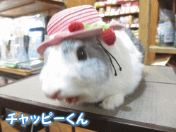 140718a.gif