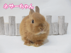 140718g.gif