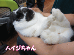 140719c.gif