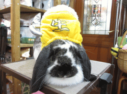 140719d.gif