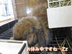 140719j.gif