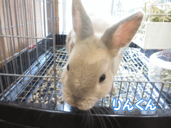 140720n.gif