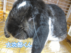 140720a2.gif