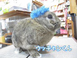 140720c.gif