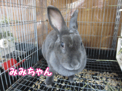 140720r.gif
