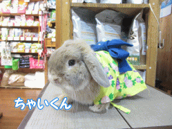 140721g.gif