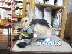 140721m.gif
