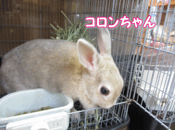 140721y.gif
