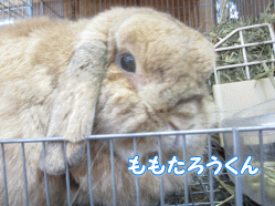 140721z1.gif