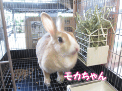 140721z5.gif