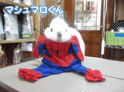 140722a.gif