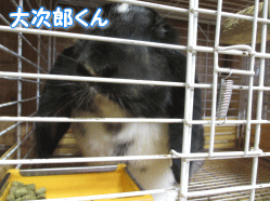 140722c.gif