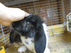 140722d.gif