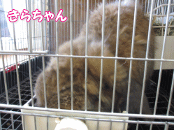 140722i.gif