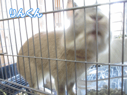 140722k.gif