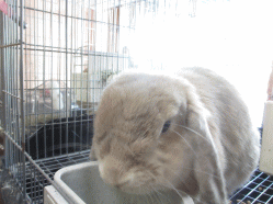140722n.gif
