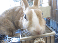 140722p.gif
