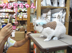140726e.gif