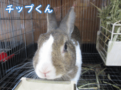 140726q.gif