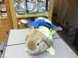 140727b.gif
