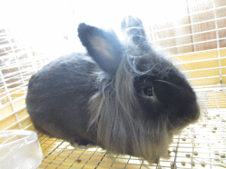 140727h.gif