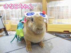 140728c.gif
