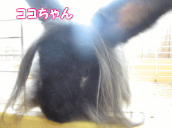 140728i.gif