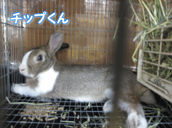 140729e.gif