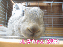 140729g.gif