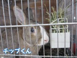 140731f.gif