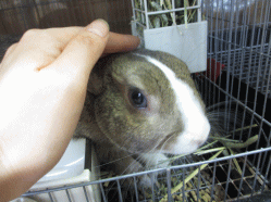 140731g.gif